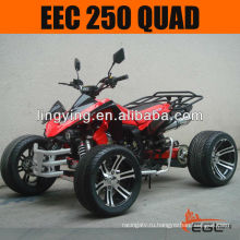 250 ATV 250cc четырехъядерных ЕЭС (дорога)